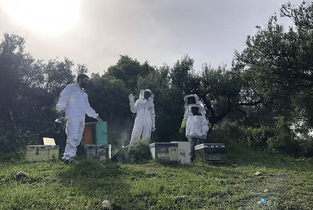 meet-us-chaniotakis (3)